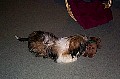 b00002.jpg