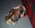 b00003.jpg
