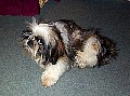 b00004.jpg