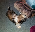 b00005.jpg