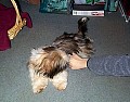 b00010.jpg