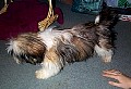 b00012.jpg
