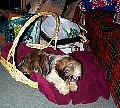 b00018.jpg