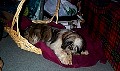 b00021.jpg
