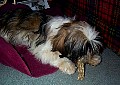 b00024.jpg