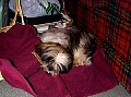 b00025.jpg