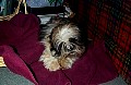 b00028.jpg
