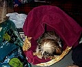 b00030.jpg