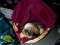 b00031.jpg