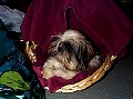 b00032.jpg