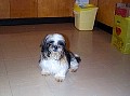 b00034.jpg