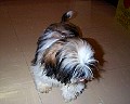 b00035.jpg