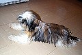 b00037.jpg