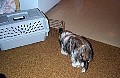 b00039.jpg
