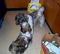 b00042.jpg
