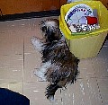 b00045.jpg
