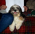 b00047.jpg