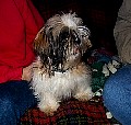 b00050.jpg