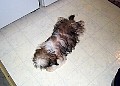 b00051.jpg
