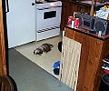 b00054.jpg