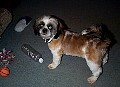 b00057.jpg