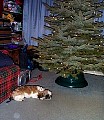 b00061.jpg