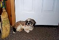 b00065.jpg