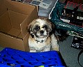 b00067.jpg