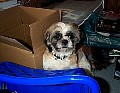 b00068.jpg