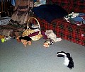 b00075.jpg