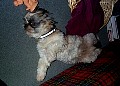 b00077.jpg
