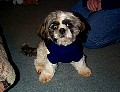 b00078.jpg