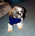b00079.jpg