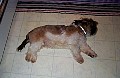b00086.jpg