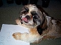 b00095.jpg