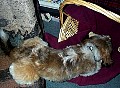 b00126.jpg