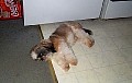 b00131.jpg