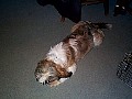 b00134.jpg