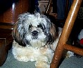 b00190.jpg