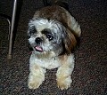 b00200.jpg