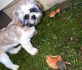 b00213.jpg