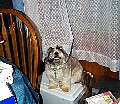 b00216.jpg
