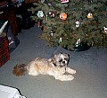 b00238.jpg