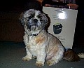 b00260.jpg